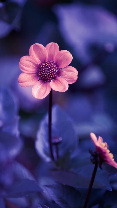 Fleur violette vibrante avec des pétales délicats