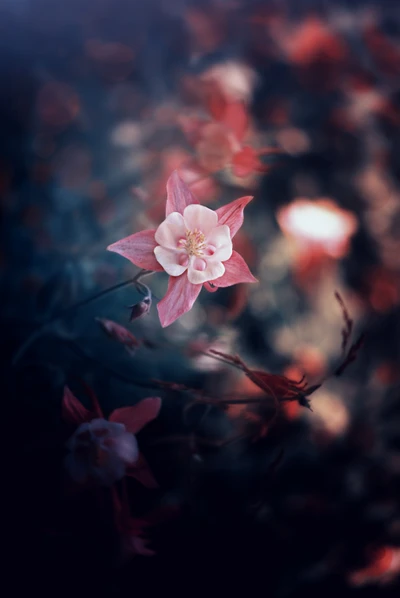 Delicada flor rosa contra un fondo soñador