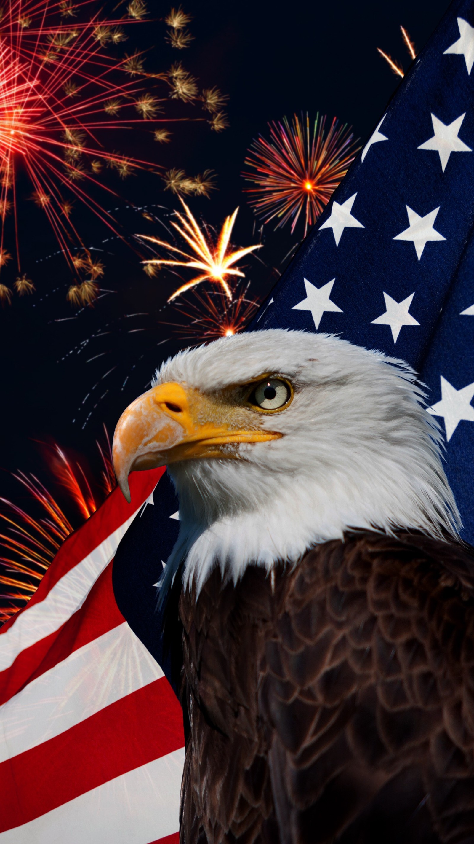 4th of july, eagle, fireworks Download Wallpaper