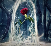 Timeless Love: A Single Rose Enchanted Beneath Glass