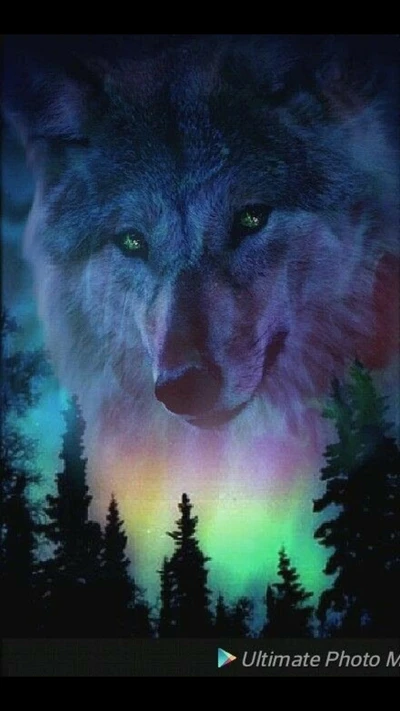 Majestic Wolf Amidst Colorful Aurora Clouds