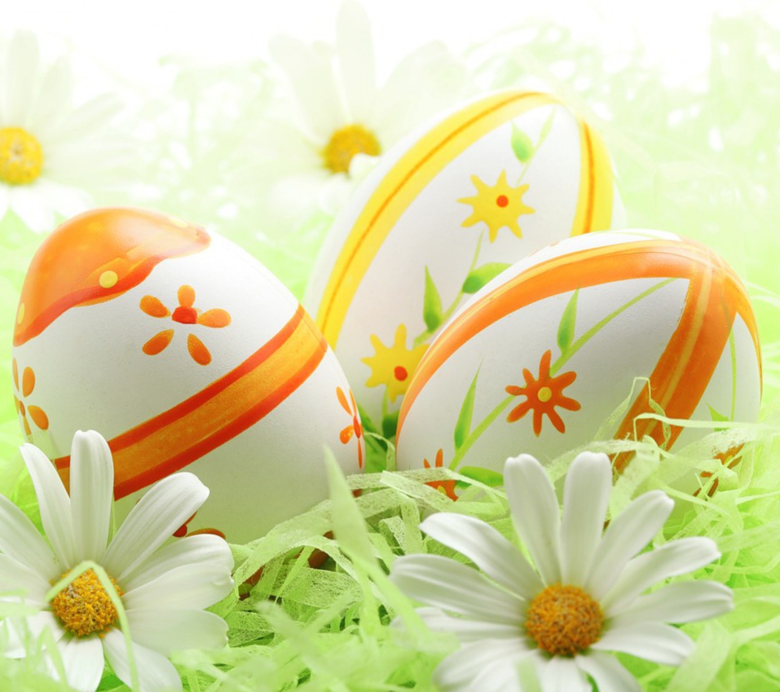 easter, eggs, spring wallpaper