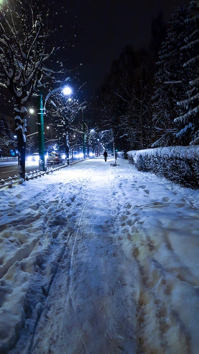 brasov, cold, light, night, path