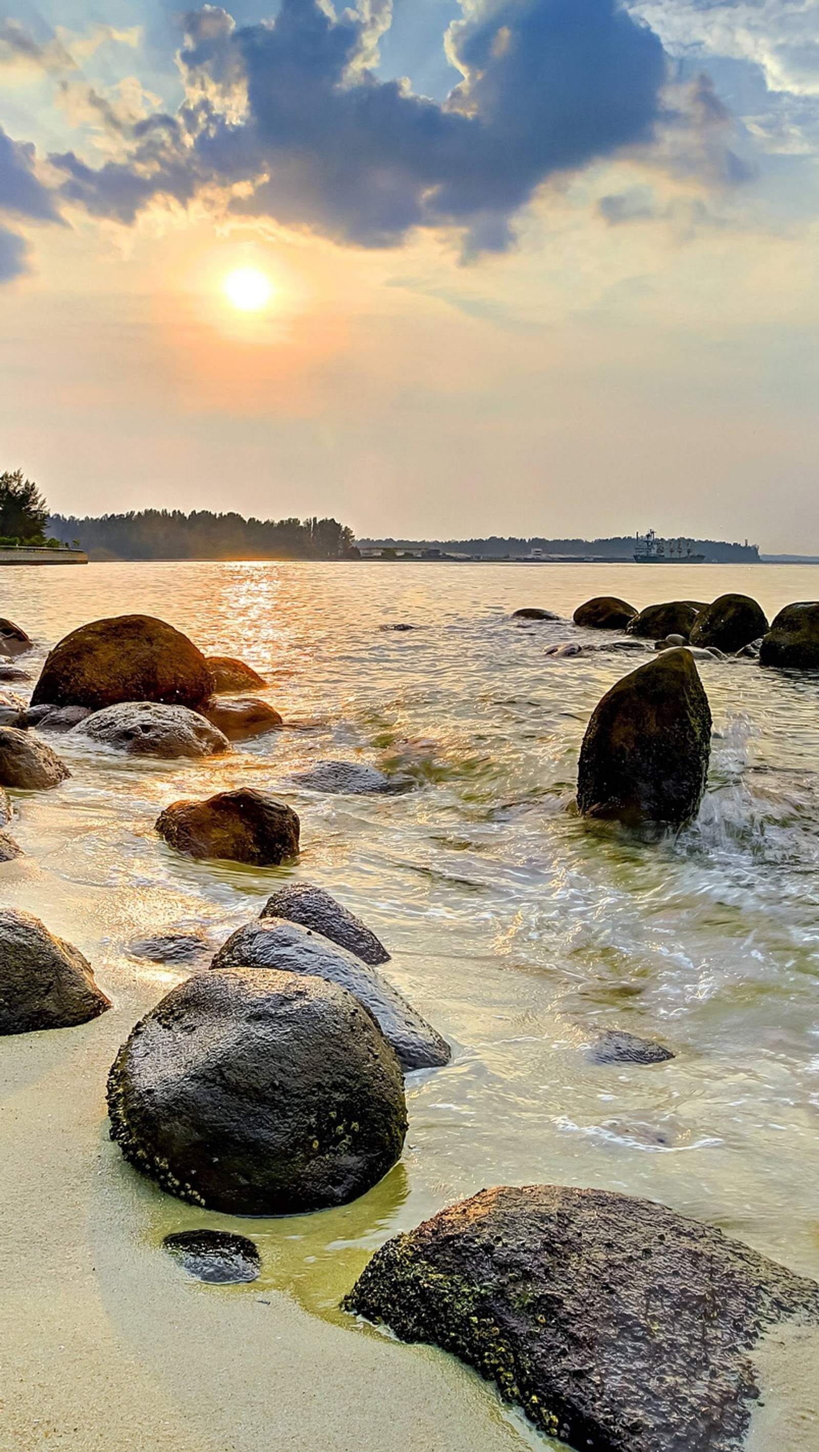 There is a bird that is standing on some rocks in the water (2014, abstract, beach, cool, nature)