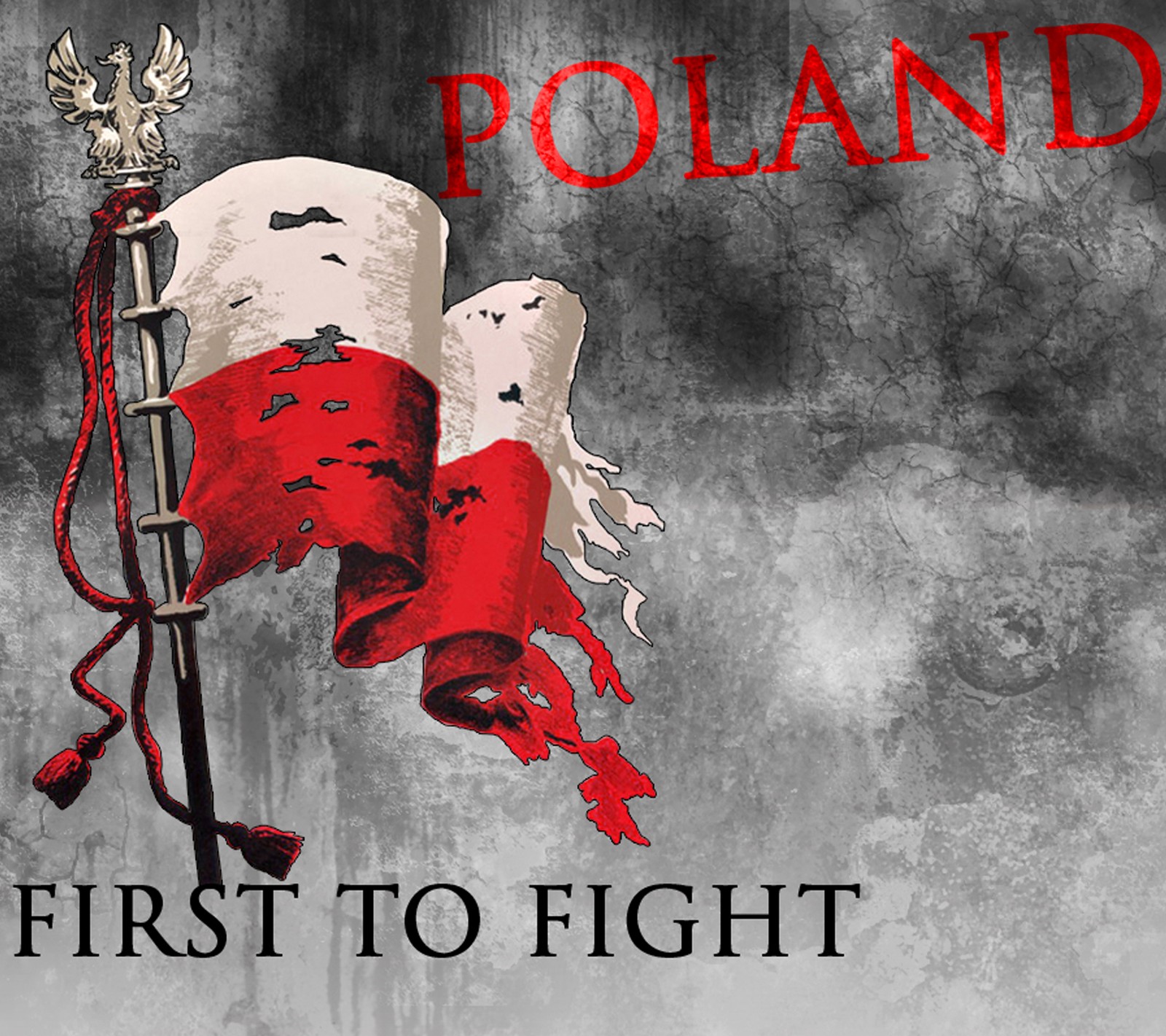 fight, first to fight, poland Download Wallpaper