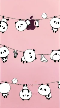 cute, panda wallpaper