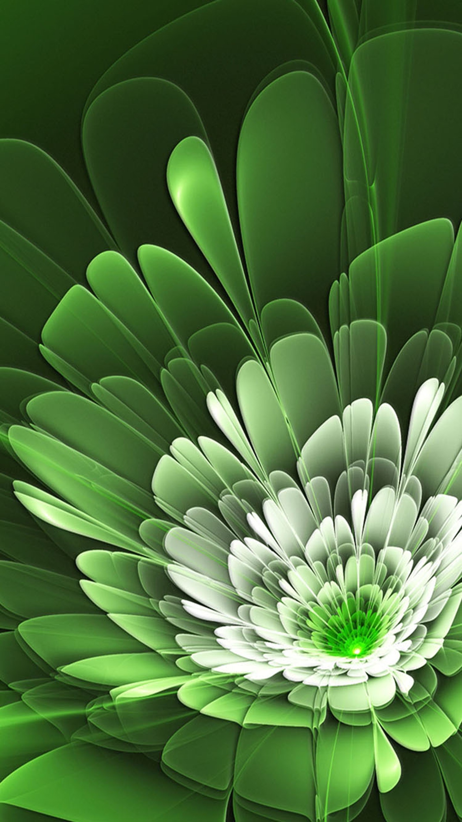 A close up of a green flower with a white center (flower, green)