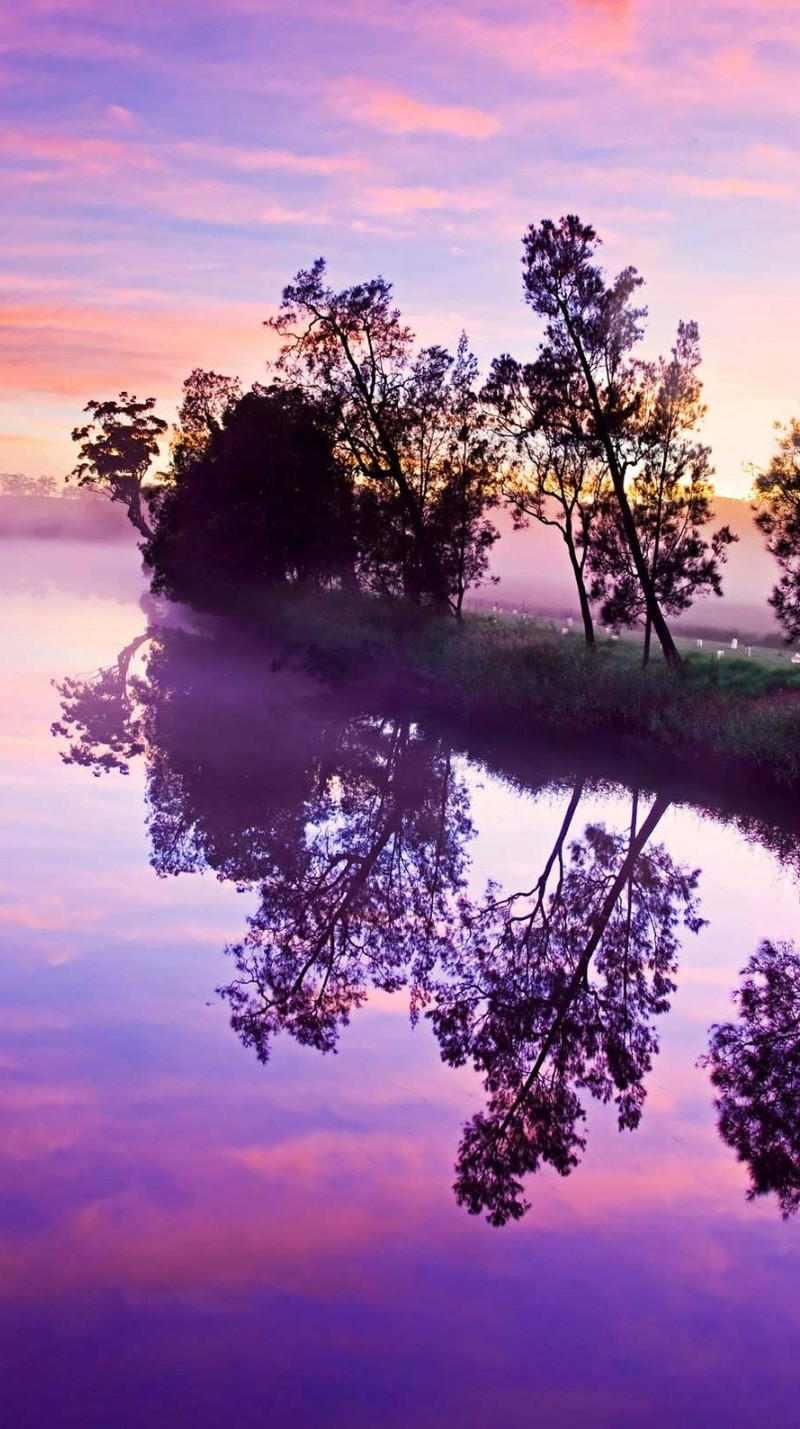 Pôr do sol roxo e rosa refletindo em um lago com árvores (natureza, flúmen)