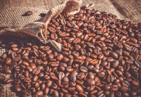 coffee, arabica coffee, coffee bean, coffee roasting, robusta coffee wallpaper