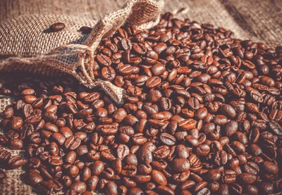 Rich Selection of Roasted Coffee Beans