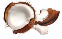 Freshly cracked coconut shell with creamy white flesh and delicate flakes.