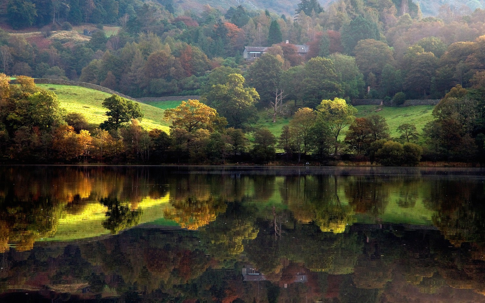 Los árboles se reflejan en el agua de un lago en las montañas (naturaleza, reflexión, agua, hoja, lago)