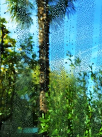 Regentropfen auf Glas mit üppigem Grün und blauem Himmel