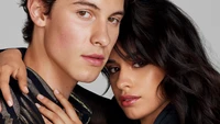 camila cabello, shawn mendes, singer, celebrity wallpaper