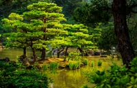 Jardim japonês tranquilo com vegetação exuberante e águas refletivas