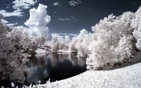 eau, hiver, nuage, gel, neige