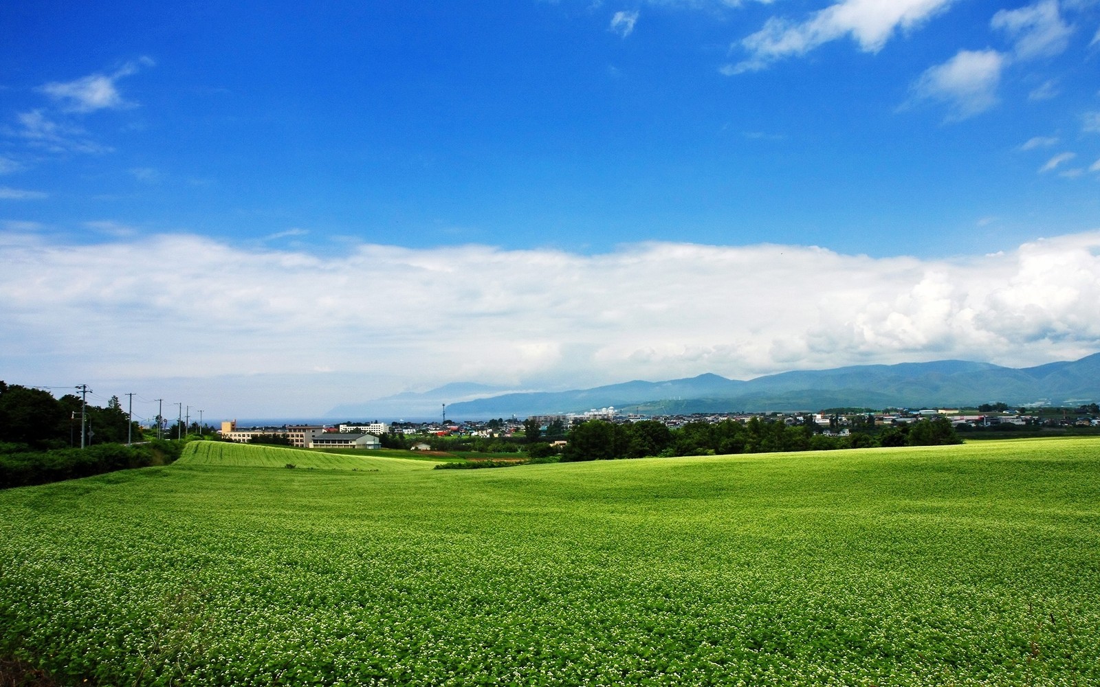 Vue d'un champ avec quelques collines au loin (nuage, ciel, nuages, horizon, prairie)