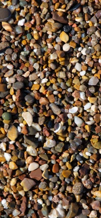 Colorful Mosaic of Natural Pebbles and Gravel