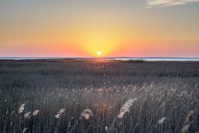 coucher de soleil, horizon, paysage naturel, lever de soleil, environnement naturel