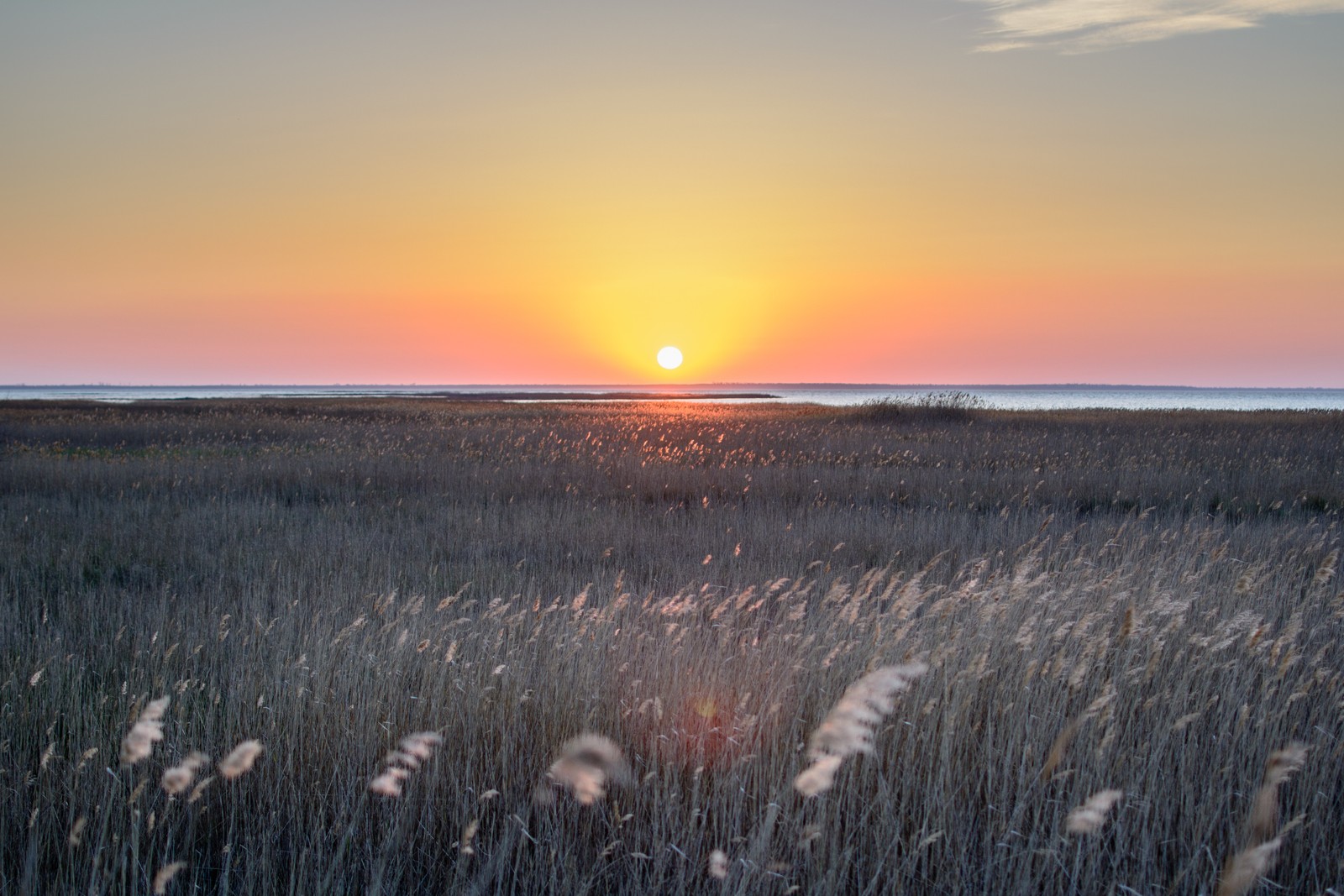 Atardecer sobre un campo de hierba alta con el sol poniéndose a lo lejos (atardecer, horizonte, paisaje natural, amanecer, entorno natural)