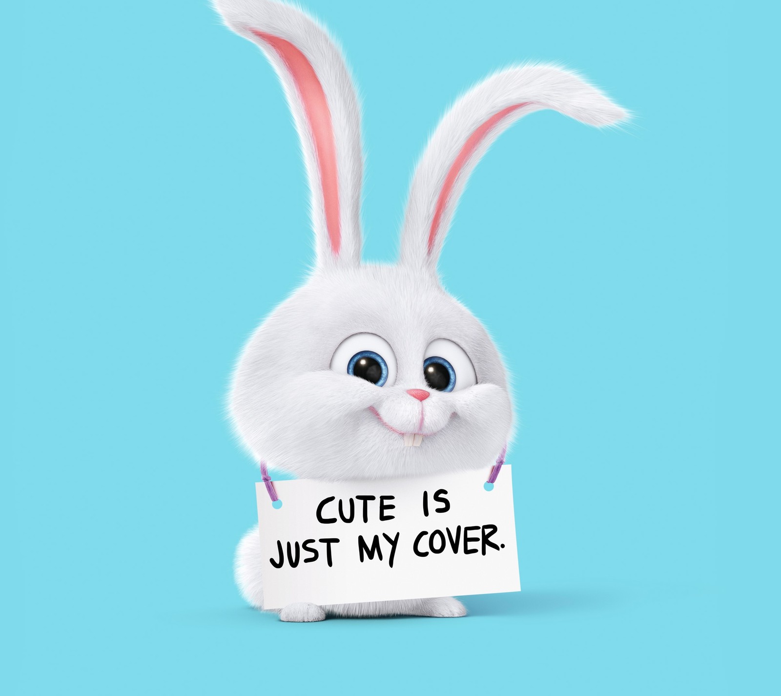 A close up of a rabbit holding a sign with a message (bunny, cute, snowball, the secret life of pets)