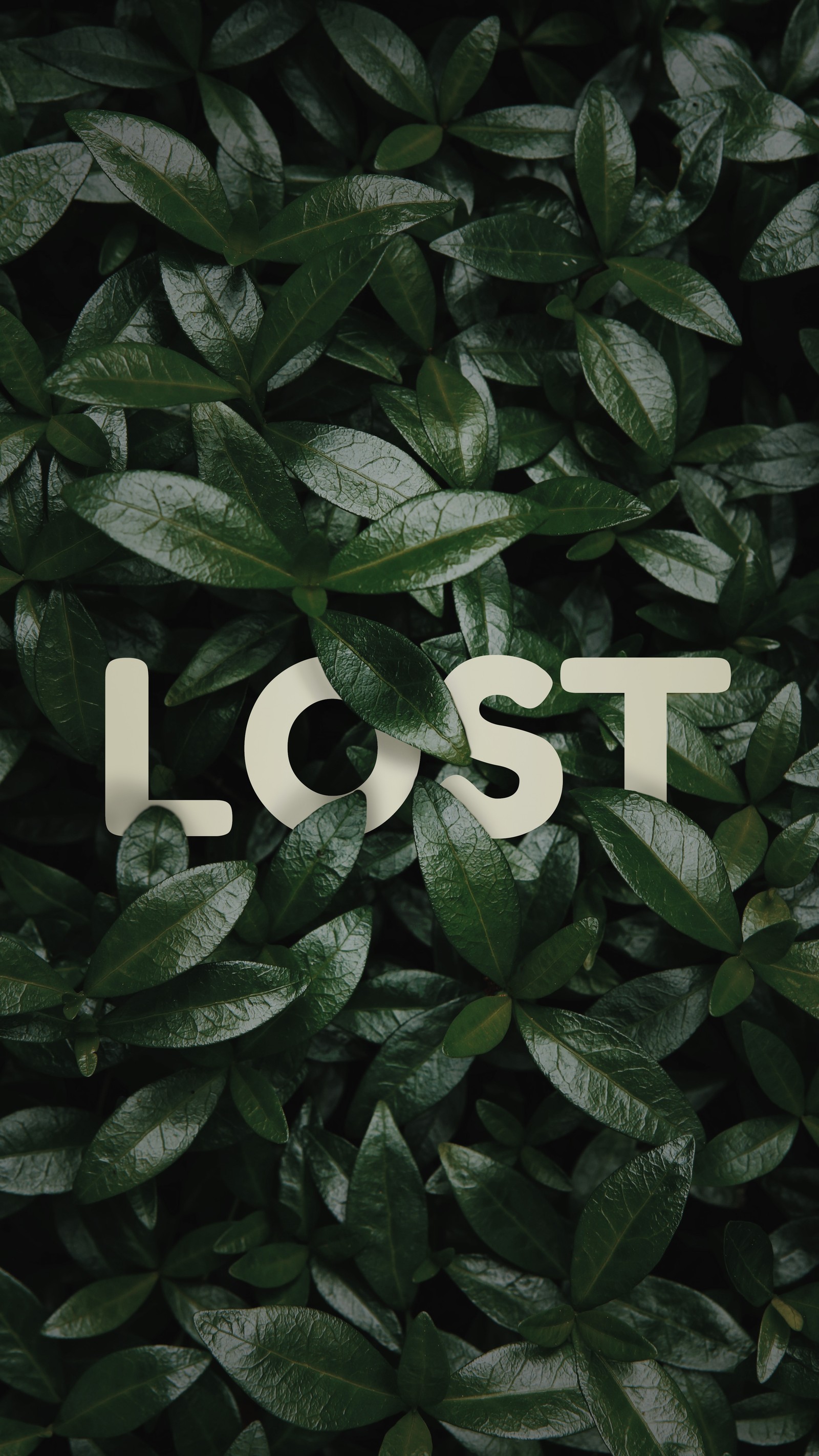 Arafed image of a lost sign on a green plant (cool, design, green, hd, leaf)