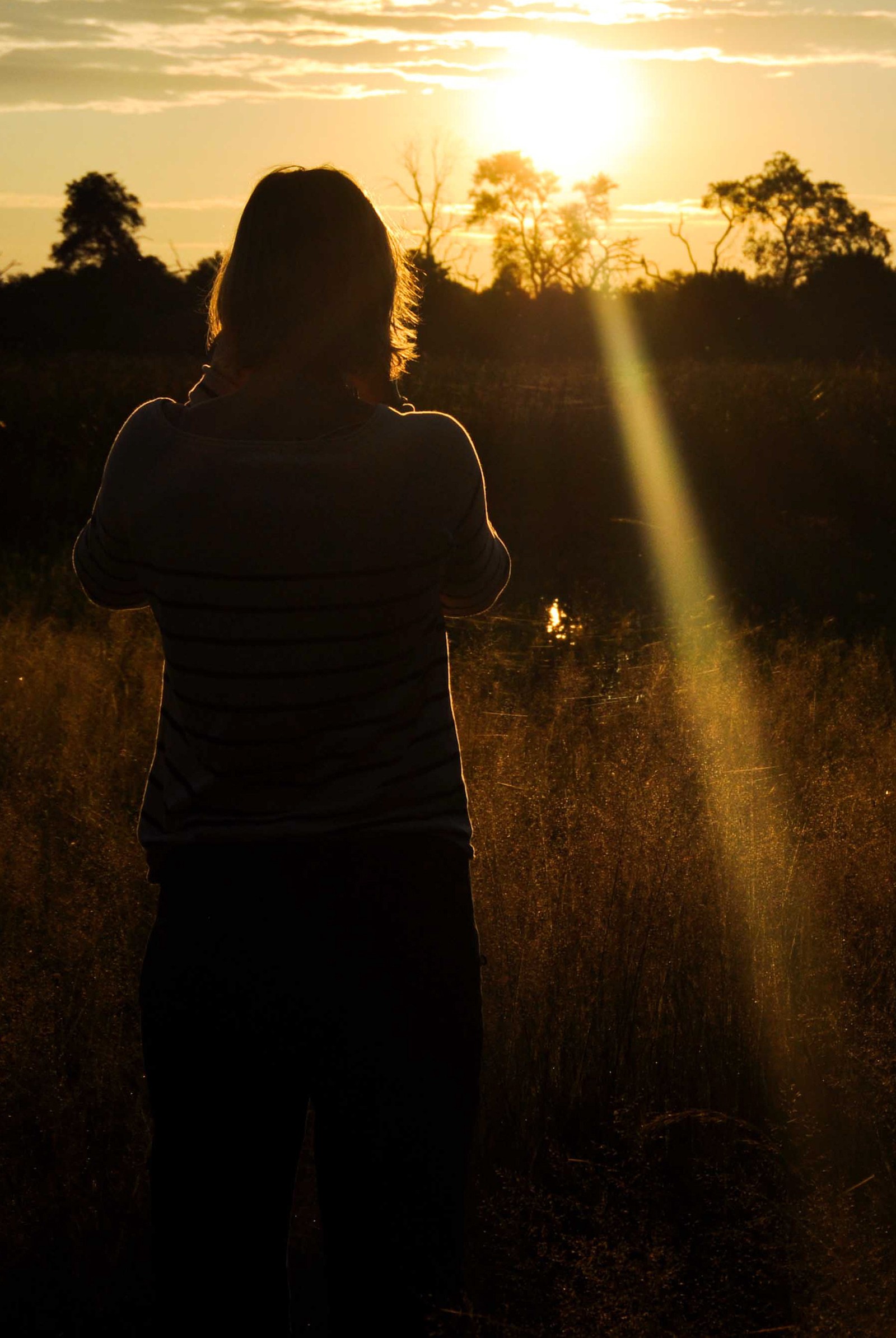 glow, nice, sunset, yellow wallpaper