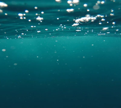 Serene Underwater Scene with Bubbles