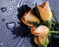 flowers, heart, love, rain, raindrops wallpaper