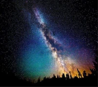 Galactic Splendor: A Vibrant Night Sky Over Silhouetted Pines