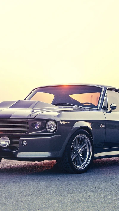 carro, ford, ford mustang shelby