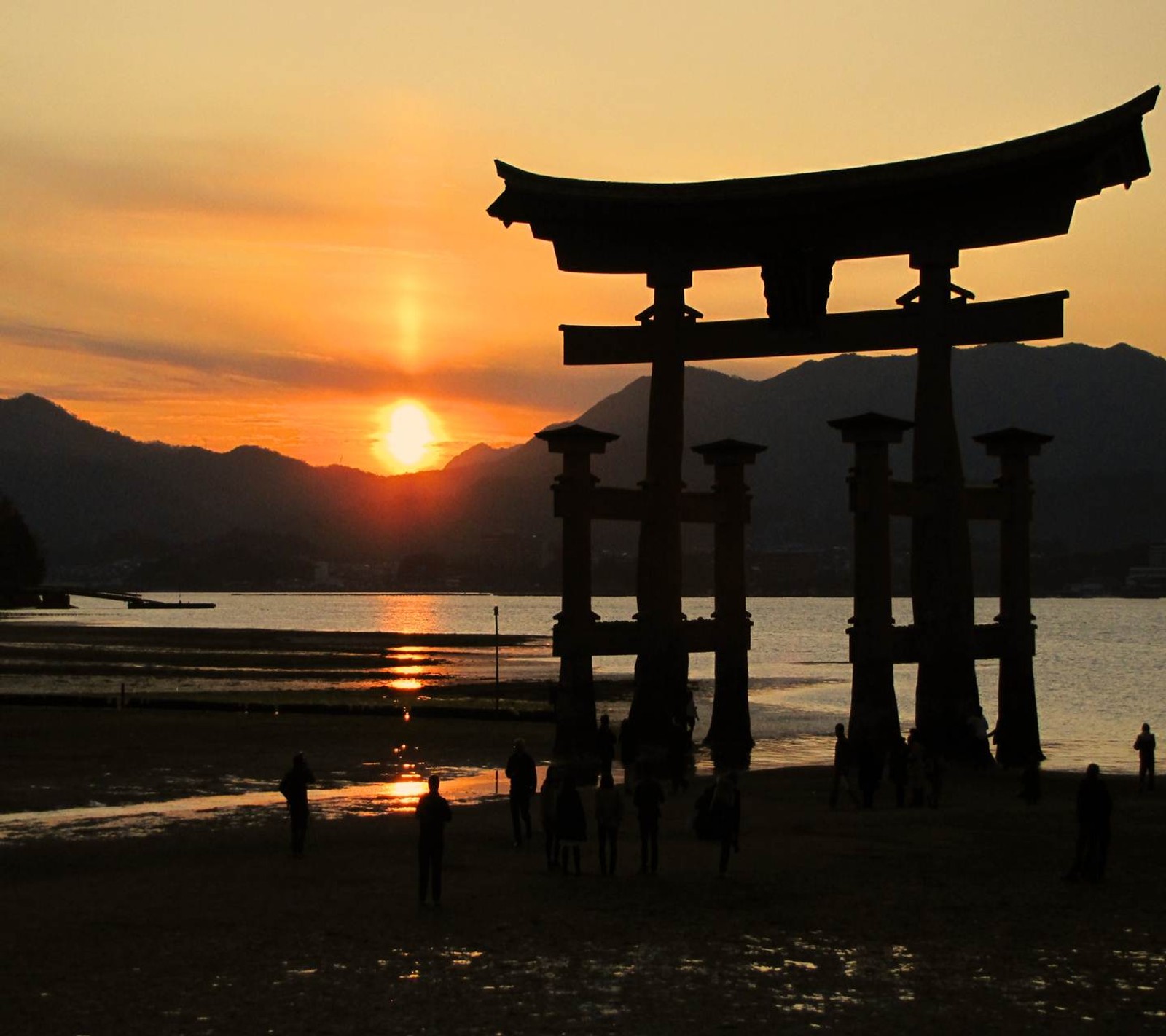 Porte de girafe sur la plage avec des gens qui marchent autour (plage, nature hd, hd nature sunset, hd coucher de soleil, nature)