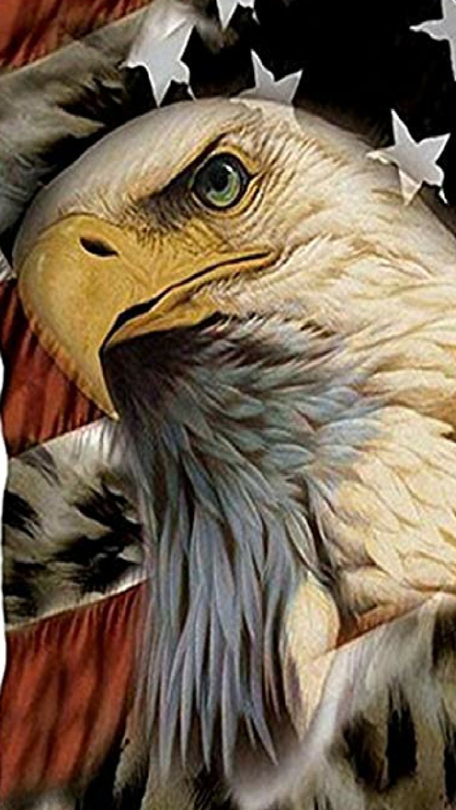 eagle, usa, storm, qanon, trump Download Wallpaper