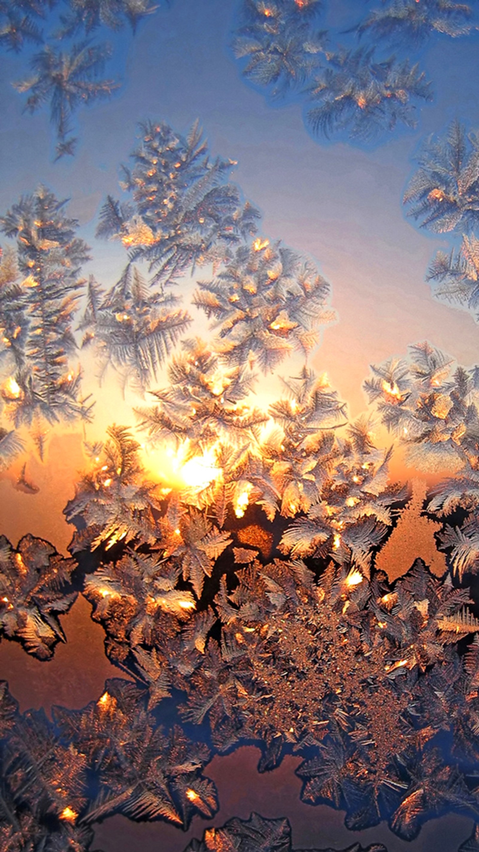 frosty, sunset, winter wallpaper