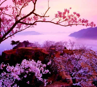 Fleurs sereines contre un fond de montagne brumeuse