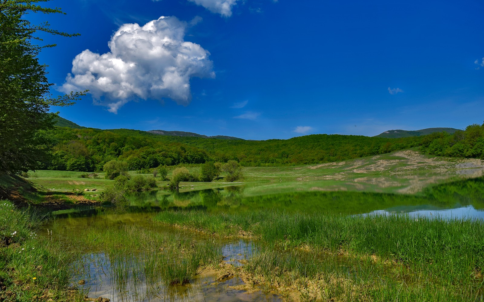 Vue aérienne d'un lac avec un nuage dans le ciel (prairie, nature, réserve naturelle, hauts plateaux, sauvage)