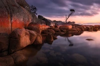 Lever de soleil tranquille sur Binalong Bay : Rochers sereins et reflets dans le paysage de Tasmanie