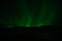 aurora, night, green, black, light wallpaper