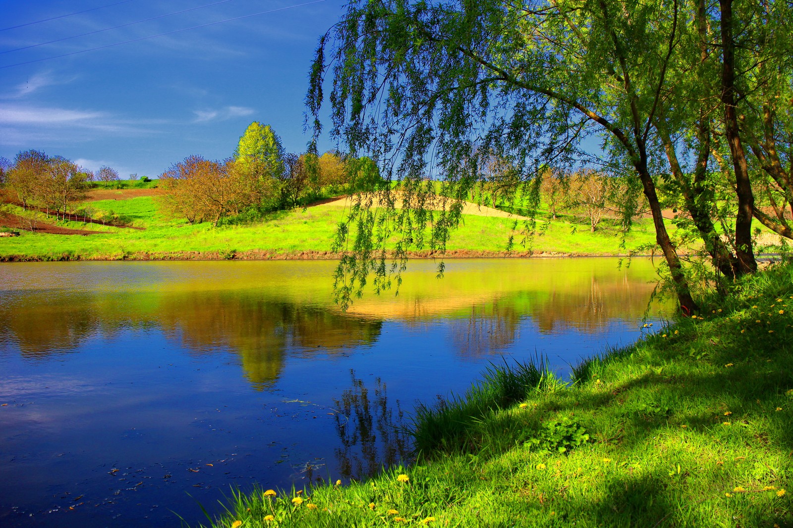 Uma vista de um lago com árvores e grama em primeiro plano (verão, natureza, reflexo, árvore, água)