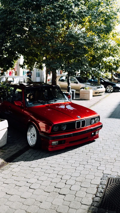 BMW E30 M3 vermelho estacionado em uma rua de paralelepípedos, cercado por vegetação e outros carros.