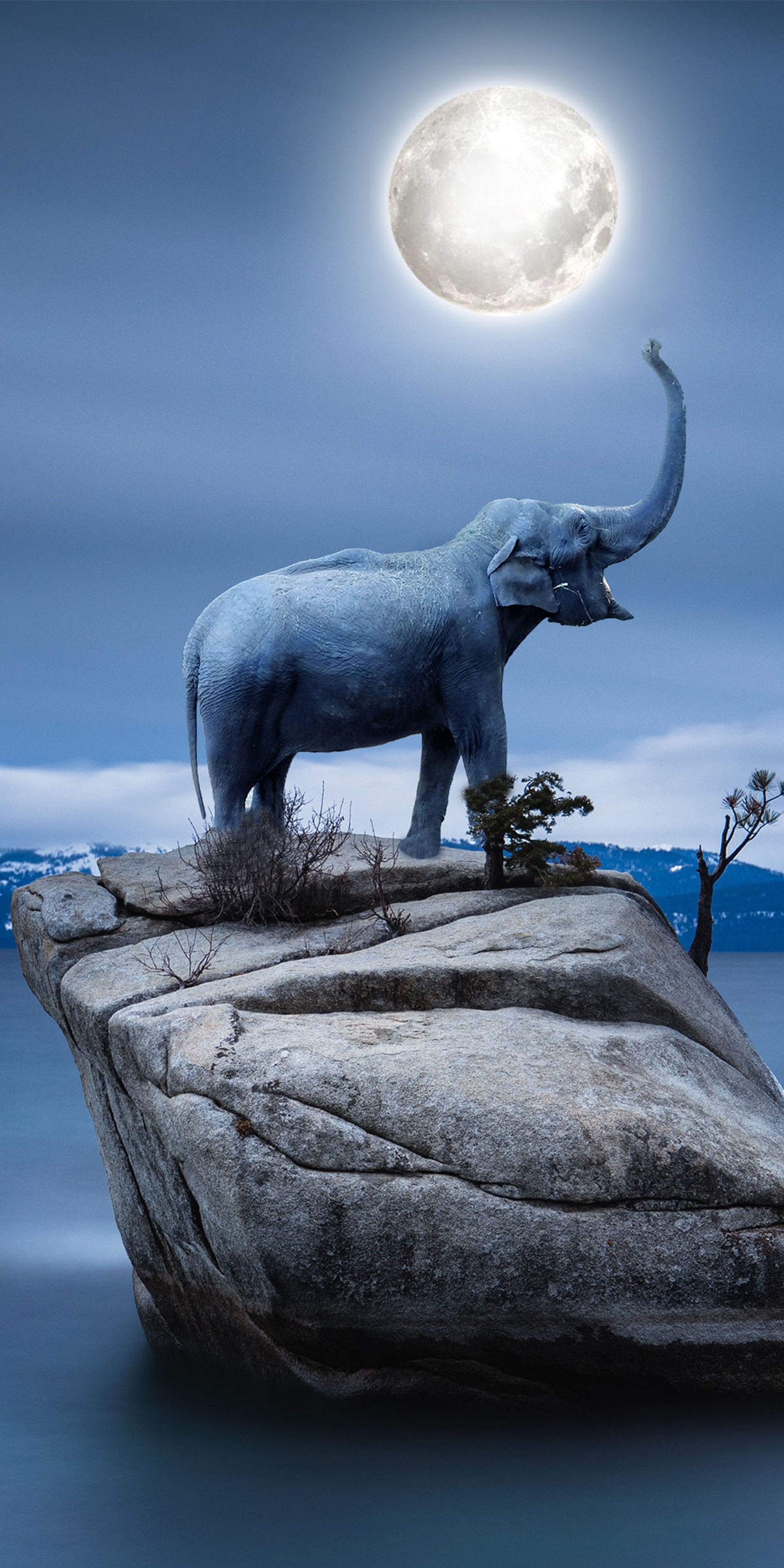 Lade wasser, licht, wolke, skulptur, pflanze Hintergrund herunter