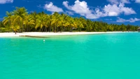 summer, tropics, sea, caribbean, ocean