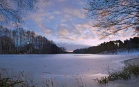 nature, reflection, water, snow, frost wallpaper