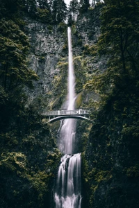 Cascada Multnomah: una majestuosa cascada que cae bajo un puente histórico en un paisaje forestal exuberante