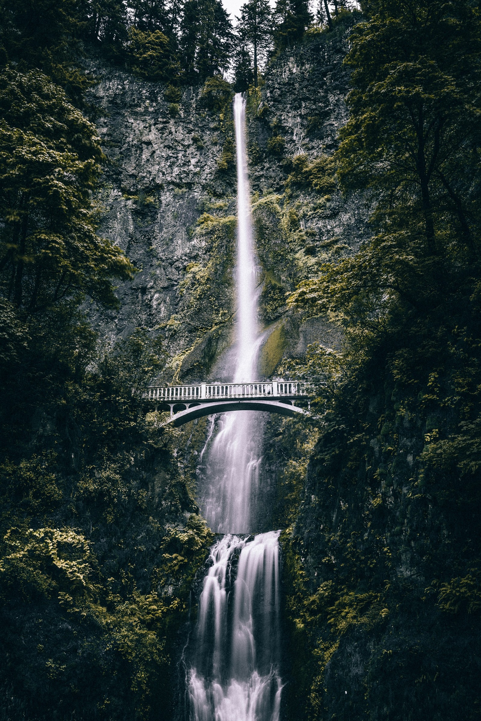 Uma cachoeira com uma ponte e uma cachoeira ao fundo (cachoeira, cachoeira multnomah, multnomah falls, corpo de água, água)