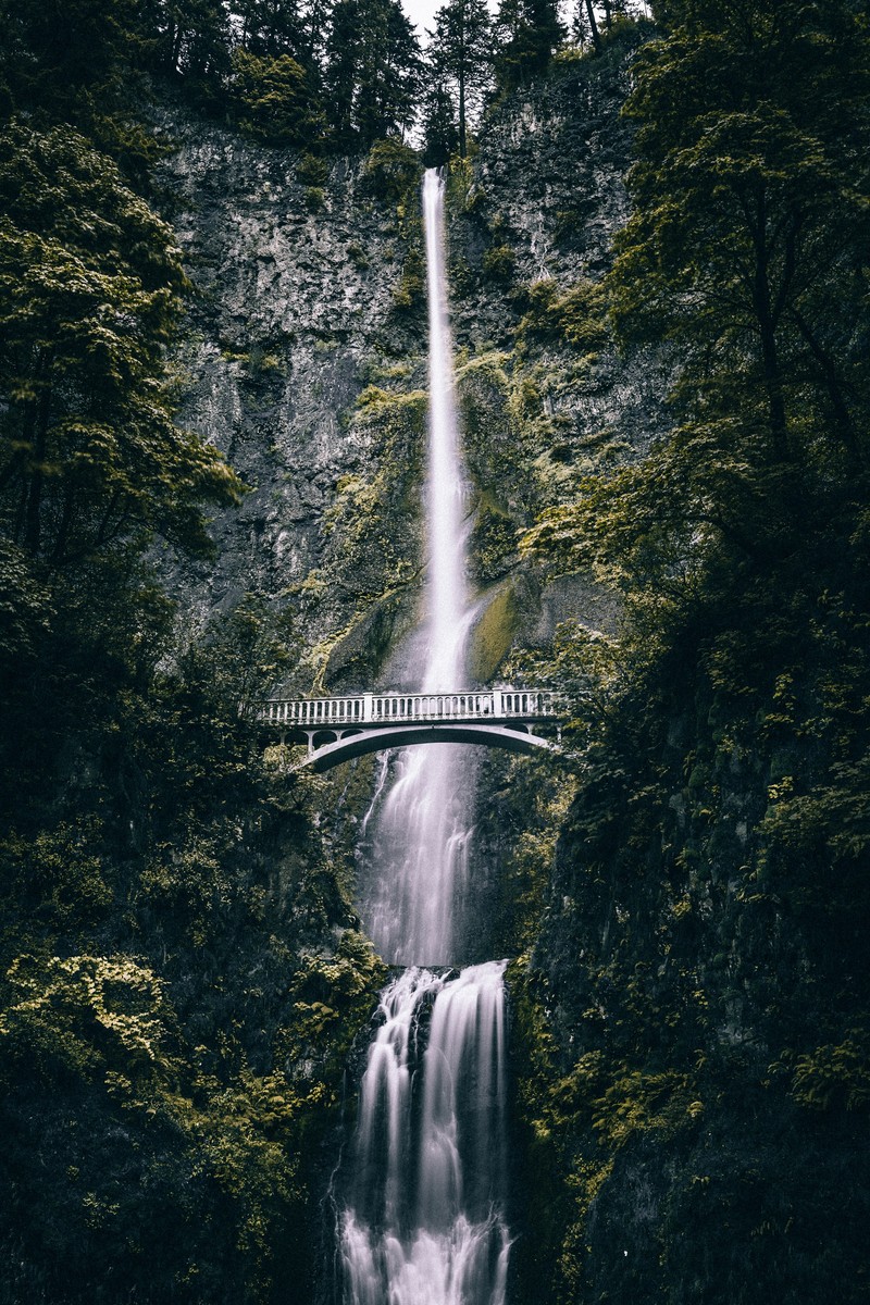 Водопад с мостом и водопадом на заднем плане (водопад, водопад мультномах, multnomah falls, водоем, вода)