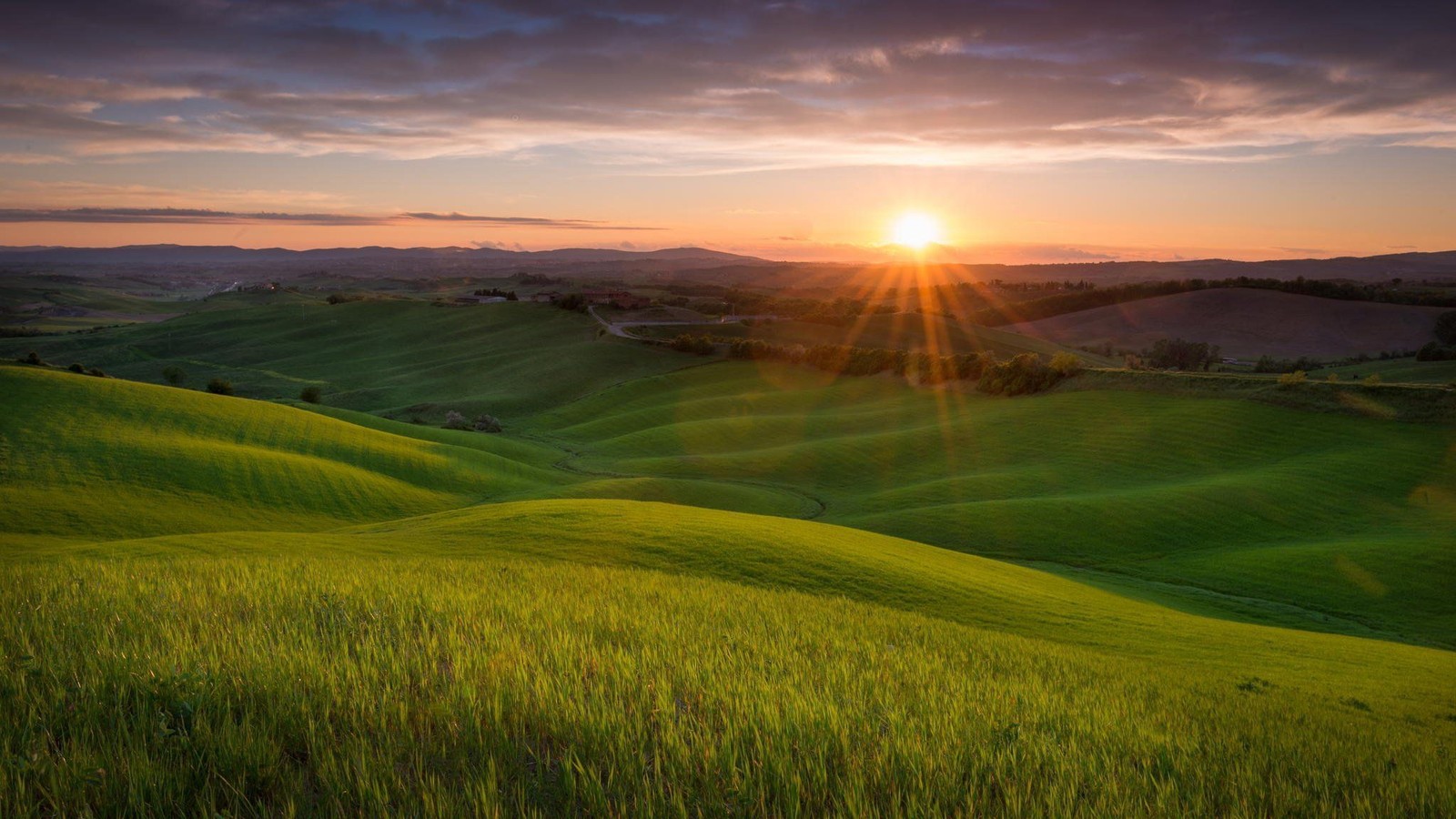 A green field with a sunset in the background (tuscany, sunset, hill, grassland, field)