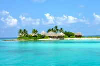 trópicos, mar, formas costeras y oceánicas, caribeño, isla