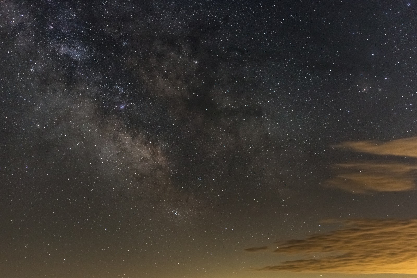 Girafas e a via láctea brilham intensamente no céu sobre um campo (via láctea, galáxia, estrela, universo, astronomia)