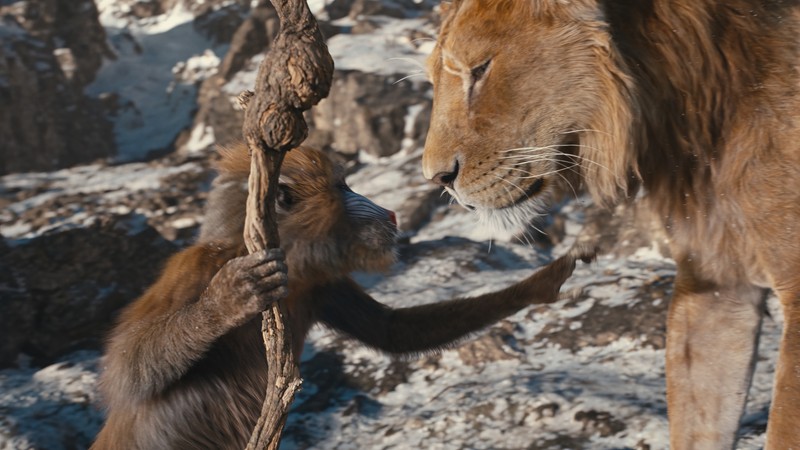 Лев и обезьяна играют вместе в дикой природе (муфаса из короля льва, mufasa the lion king, фильм)